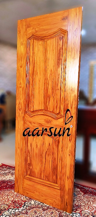 modern designer door model