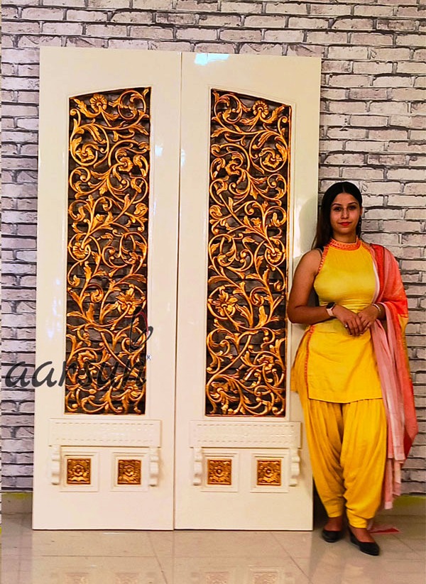 doubel door main gate design